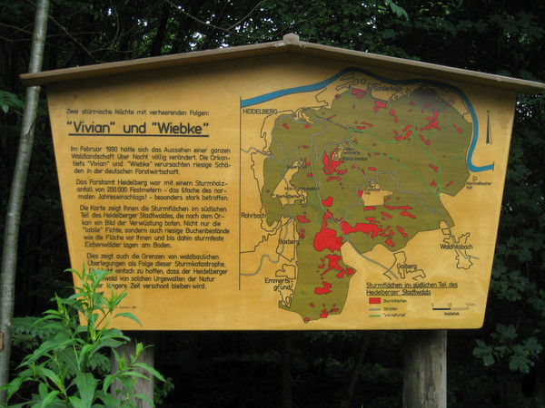 Vivian und Wiebke.jpg